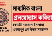 প্রলয়োল্লাস কবিতা (কাজী নজরুল ইসলাম) মাধ্যমিক বাংলা | Madhyamik Bengali Proloyullash Suggestion প্রলয়োল্লাস কবিতা (কাজী নজরুল ইসলাম) মাধ্যমিক বাংলা | Madhyamik Bengali Proloyullash Suggestion