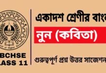 নুন (কবিতা) একাদশ শ্রেণীর বাংলা | Class 11 Bengali Noon Question and Answer নুন (কবিতা) একাদশ শ্রেণীর বাংলা | Class 11 Bengali Noon Question and Answer