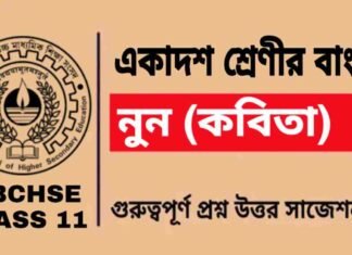 নুন (কবিতা) একাদশ শ্রেণীর বাংলা | Class 11 Bengali Noon Question and Answer নুন (কবিতা) একাদশ শ্রেণীর বাংলা | Class 11 Bengali Noon Question and Answer