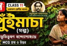 পুঁইমাচা (গল্প) বিভূতিভূষণ বন্দ্যোপাধ্যায় – একাদশ শ্রেণীর বাংলা | Class 11 Bengali Radharani Golpo Question and উত্তর Class 11 Bengali Puimacha Golpo Question and Answer