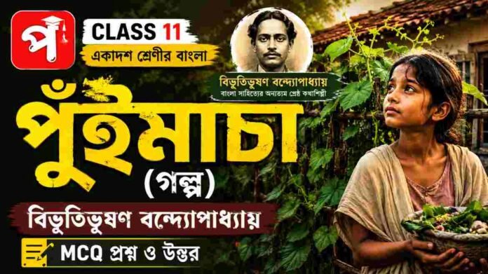Class 11 Bengali Puimacha Golpo Question and Answer Class 11 Bengali Puimacha Golpo Question and Answer