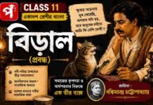 বিড়াল (প্রবন্ধ) বঙ্কিমচন্দ্র চট্টোপাধ্যায় – একাদশ শ্রেণীর বাংলা | Class 11 Bengali Class 11 Bengali Biral Question and Answer Class 11 Bengali Biral Question and Answer